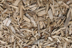 biomass boilers Ragdon
